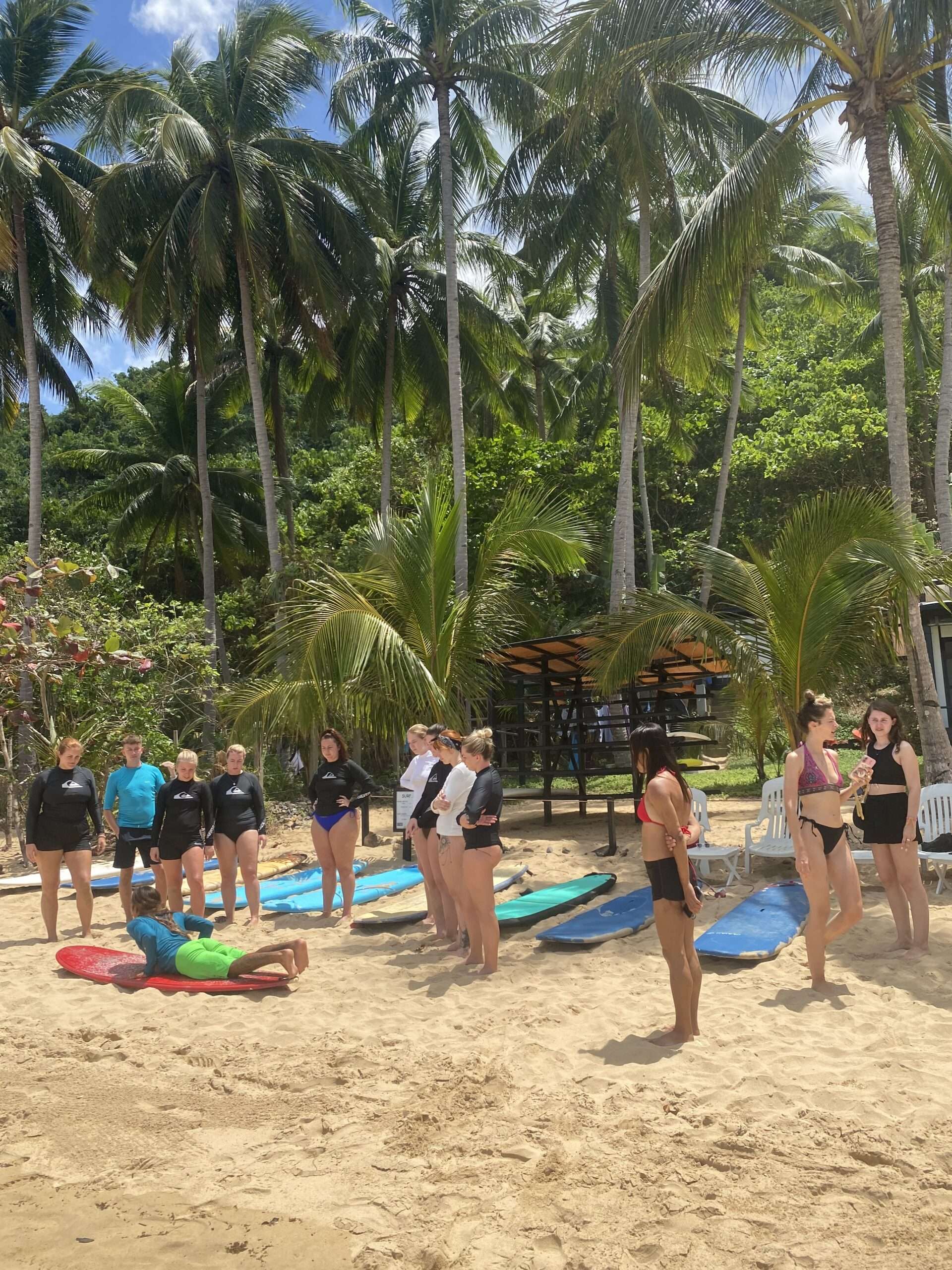 Surf trip in paradise - Image 7