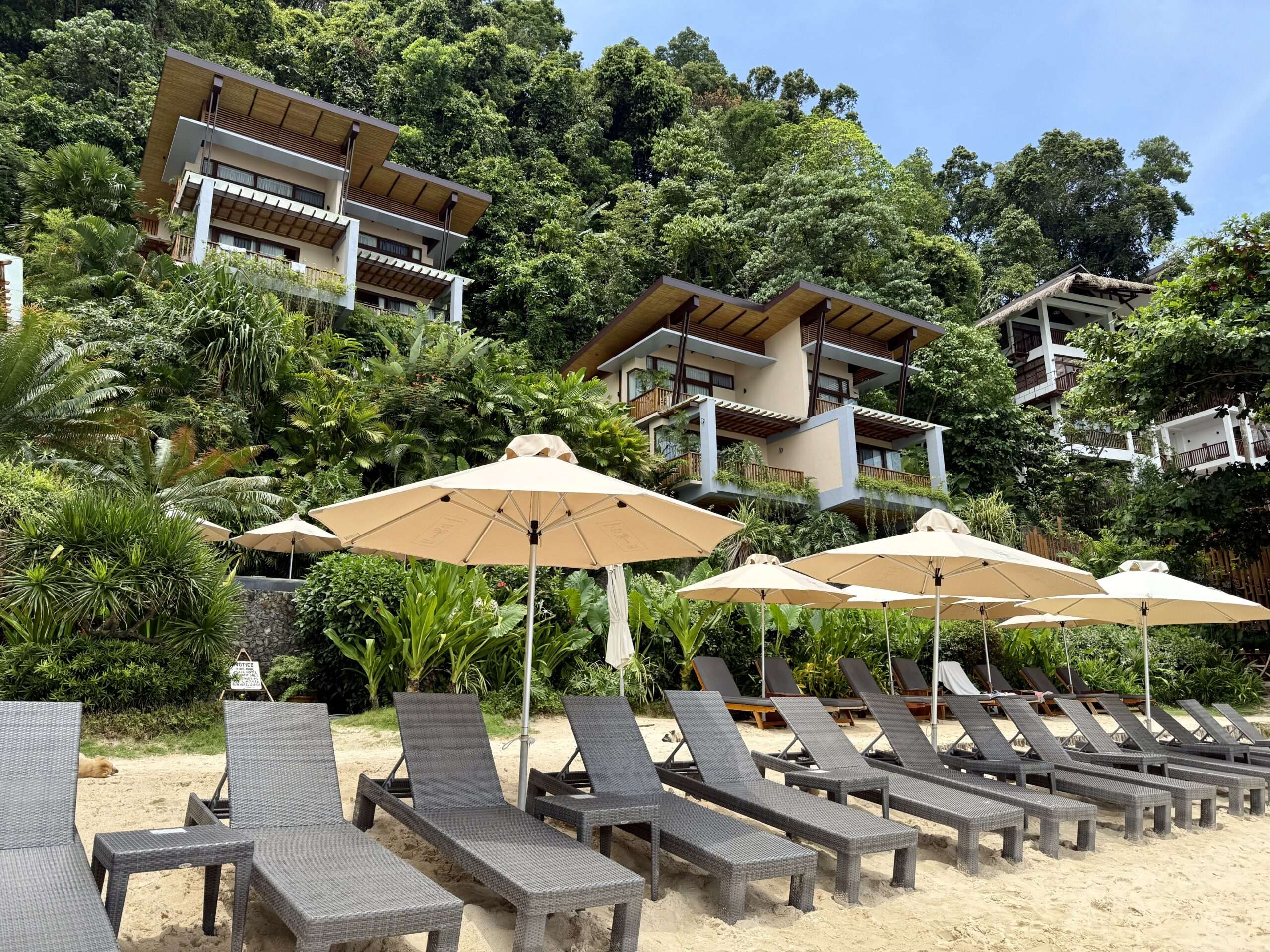 Golden sand and palm trees at Marimegmeg Beach, El Nido