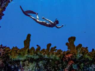 Private Freediving (Freedive Intro Class or Fundive)