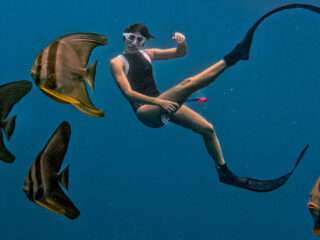 Fundive