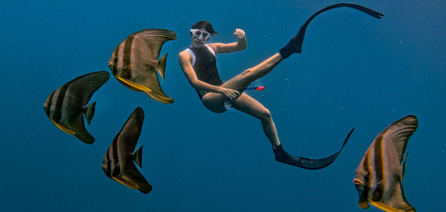 Fundive