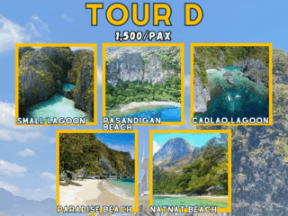 Sharing Tour D